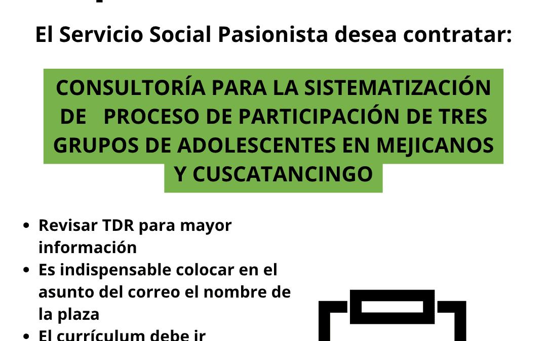 Consultoría para la sistematización de proceso