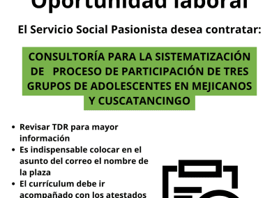 Consultoría para la sistematización de proceso